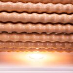 Fitness_Club_24_NPG_Roll_b2 (3)